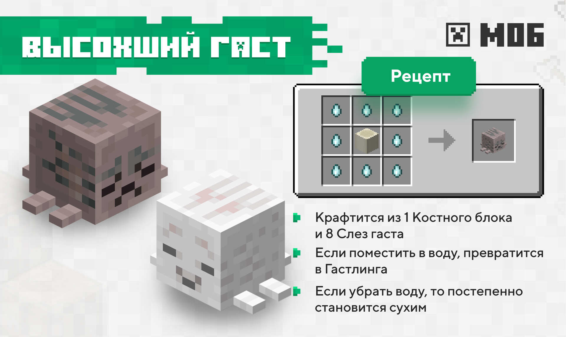 Высохший гаст